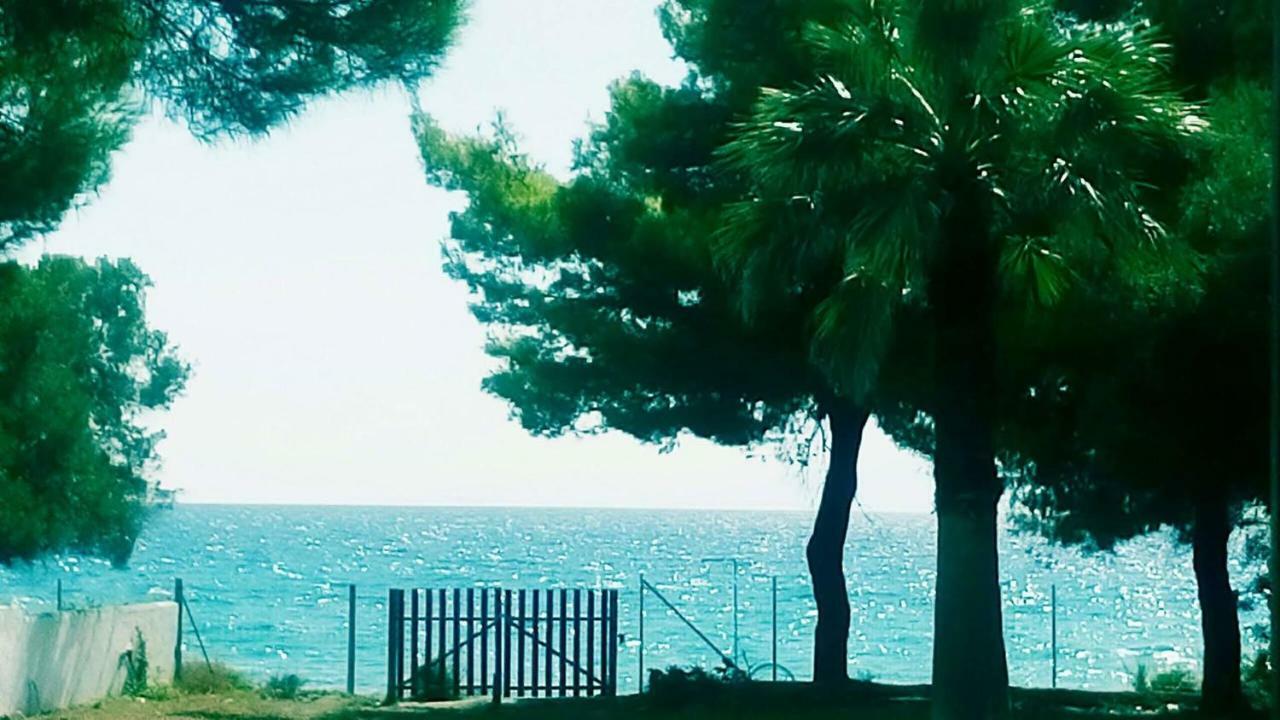 Seafront Villa Joan Nea Skioni Exteriör bild