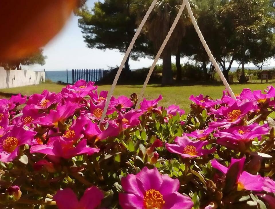 Seafront Villa Joan Nea Skioni Exteriör bild